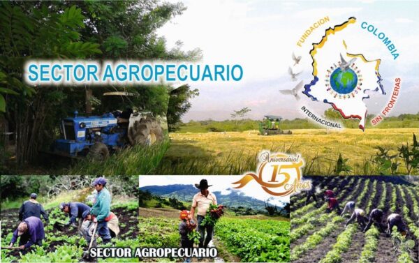 Sector Agropecuario